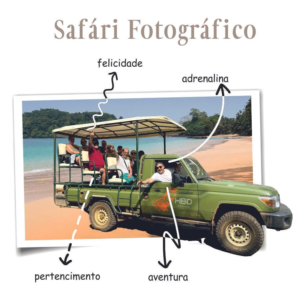 safari